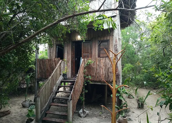Mida Creek Eco Camp
